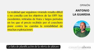 La falta de planificación de la oferta de plátano
