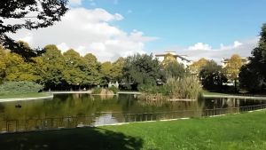 A Villa Vogel torna la Festa delle Famiglie