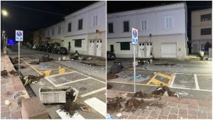 Paura in strada: folle blocca il traffico con cestini e fioriere. Portato via, torna il giorno dopo e ci riprova