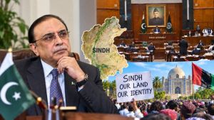 Zardari, Sindh And The Battle Over Pakistan’s New Provinces