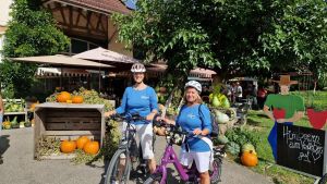 Mit dem Fahrrad rund um den Gehrenberg: Das ist beim Apfelradltag 2026 geboten