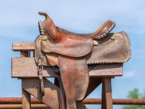 SNOBELEN: You don’t get great by closing the gate