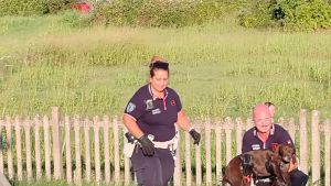 Vede dal treno un cane ferito e fa scattare i soccorsi: messo in salvo