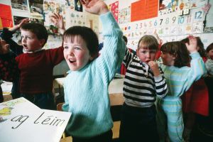 Business Post View: Before Intel, Microsoft and the Celtic Tiger, one decision changed everything