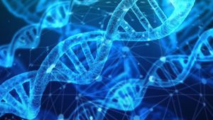 From Predation To Mutation: When State Expansion Reaches The Anthropological Limit – OpEd