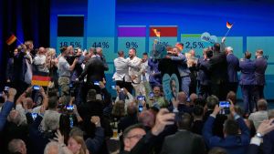 Spiegare l’Afd con le imprese e i governi immobili non con l’Europa cattiva