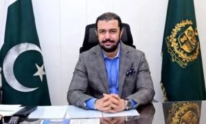 Finmin's adviser says tax collection on target, provinces bound to boost revenue