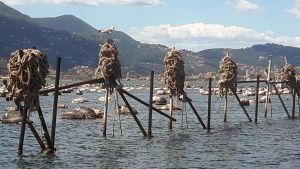 Dragaggio del terzo bacino. A ottobre il via all’intervento. Presto alla banchina Ravano le navi con oltre 24mila teu