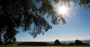 Stilkolumne: Der Sommer geht, Leichtigkeit darf bleiben