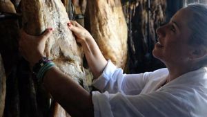 Catalunya-Extremadura, una historia familiar, pero no de negocio: intercambian 360 millones de euros al año