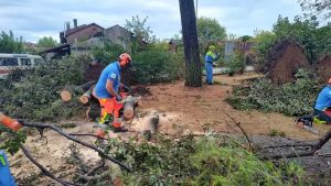 Lignano cerca volontari per riparare i danni degli allagamenti: «Ci serve l’aiuto di tutti»