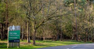 Magic and mischief return to Thetford Forest for exclusive one-day event