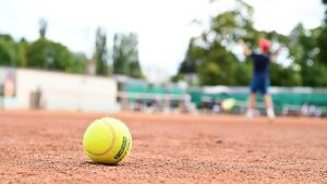 Jeder Wiener Sportplatz ist eine Goldmine
