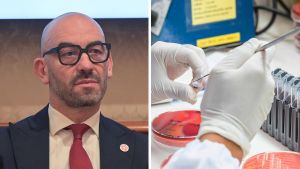 “Le zanzare sono vettori killer”. In Toscana il cluster di Dengue più grande, Bassetti: “Serve una prevenzione vera”