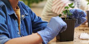¿Se aprende mejor haciendo? Lo que dice la ciencia sobre las metodologías activas