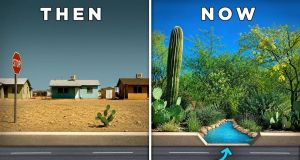 In 1998, a man illegally cut holes in a Tucson street curb. The result changed the law.