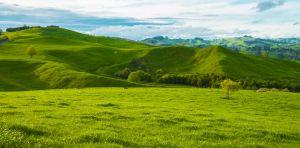 Imported phosphate for fertiliser is expensive – could this homegrown alternative be a solution?
