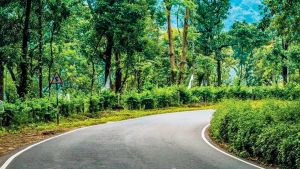 “Mumbai could easily turn dumps into forests”