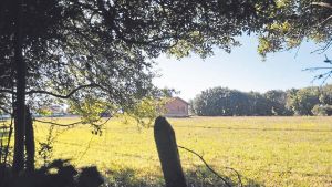 El Arzobispado pone a la venta seis fincas y una rectoral en la zona rural gijonesa
