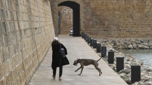 «A mamá no le gustan los animales»