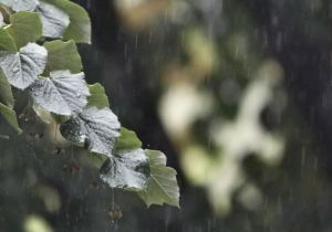 Stigla promjena vremena, evo šta nas čeka danas