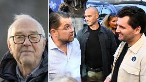 Ska staten hänga ut kleptomaner också?