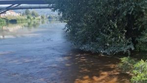 Arno a Firenze, spunta un’alga rossastra all’Anconella. La spiegazione di Arpat: “Colpa del caldo e della bassa portata”