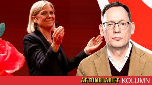 Har Magdalena Andersson det som krävs nu?