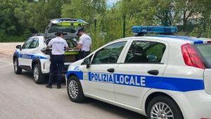 Frutta e verdura senza le indicazioni di provenienza: multato un negozio di Monfalcone