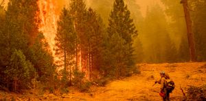 Wildfire strategy doesn’t need a winner – with 3 camps fighting for dominance, the system can’t keep up with the risk