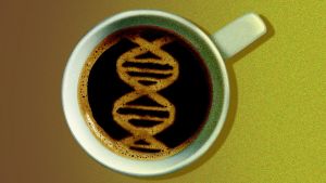 Caffeine Helped Cells Live Longer in a New Study. Scientists Found the Switch Behind It