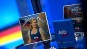 L’Europe de l'AfD, des agrégats de rages solitaires... et de la petite-fille