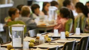 É seguro uma criança com alergia alimentar almoçar na escola?