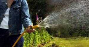 Norfolk could face even hotter 2027 summer as councillors question water preparations