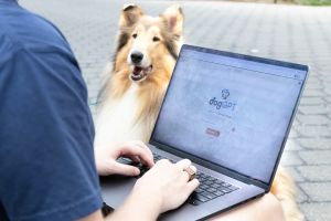 What if the smartest thing AI does this year is help a dog?
