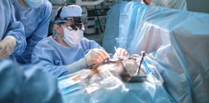 Dissection chronique de l’aorte : mieux prédire le risque d’anévrysme grâce à un jumeau numérique