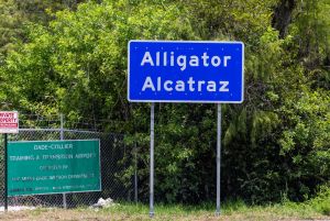 « Alcatraz des alligators » de Donald Trump : des exilés enfermés dans des cages de la taille d’une cabine téléphonique, selon une enquête