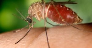 Antecipar-se às ameaças biológicas é uma questão de segurança sanitária