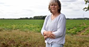 Communities left 'upended and powerless' in fight over huge solar farm scheme