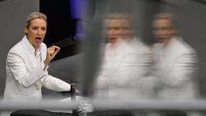 Le mani dell’ultradestra sul Bundestag, Afd supera il 30% nei sondaggi nazionali