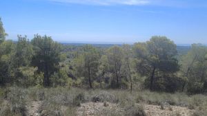 De vertedero a parque natural: 36 años