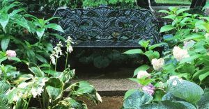 Safety-Seeking and Chronic Illness