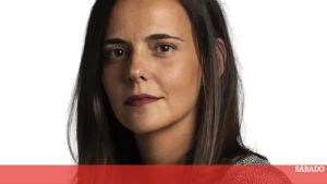 A escola pública não devia ser uma lotaria