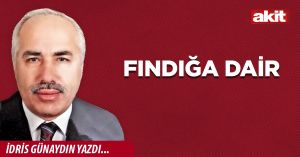 Fındığa dair