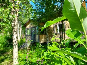 Lukijan mielipide: Autiotalomessut – haaste Kainuun kunnille!