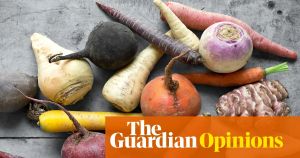 It’s my self-care hack of the year: I quit our local veg box scheme, and set my mind free