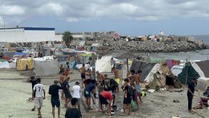 Los verdaderos culpables (II)