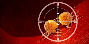 Une « fausse vitamine B12 » pour transformer une résistance tumorale en vulnérabilité