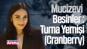 Mucizevi Besinler : Turna Yemişi (Cranberry)
