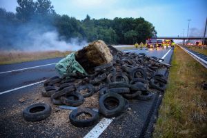 Stikstof en boeren: trek de pleister er in één keer af